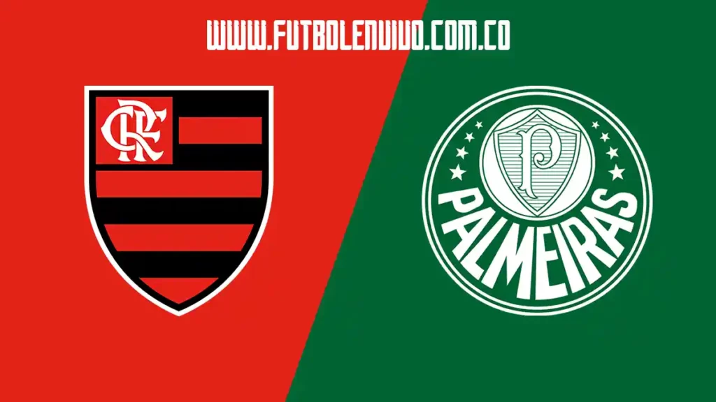 ver flamengo vs palmeiras